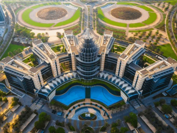The Oasis